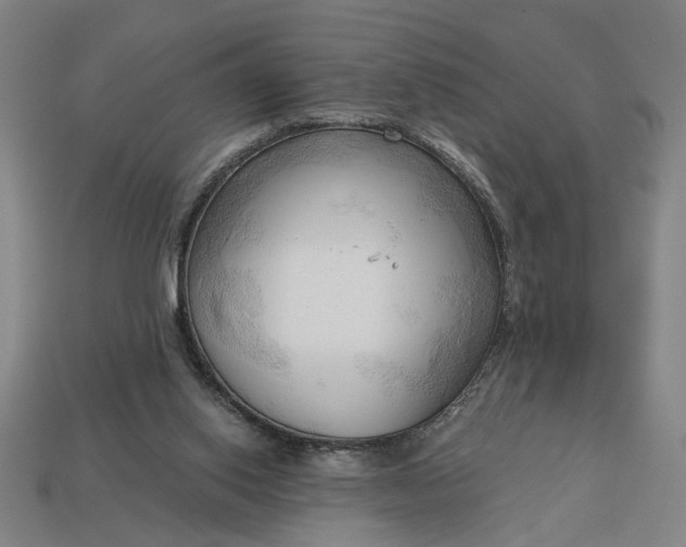 X0000113130062200909181717