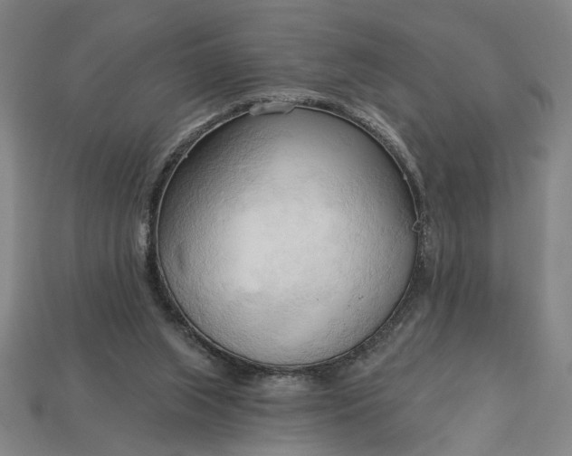 X0000113130063200909181717