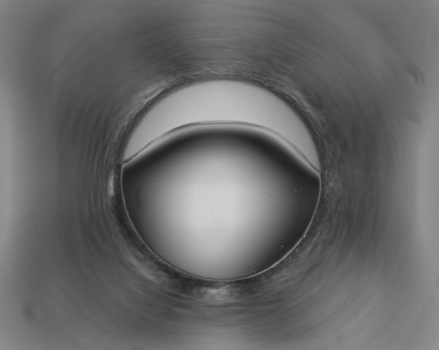 X0000113130068200909181717