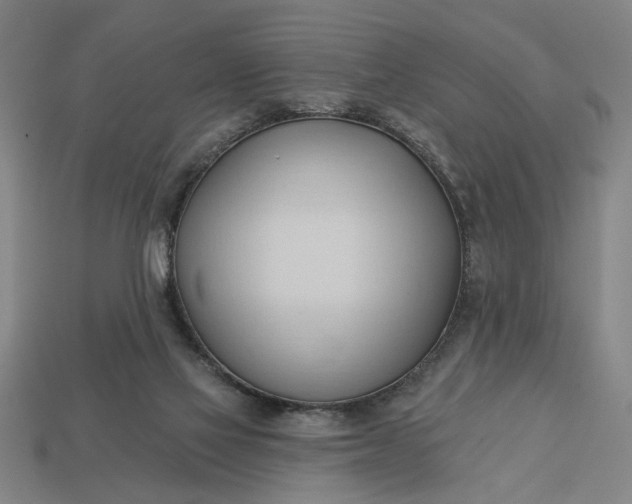 X0000113130069200909181717