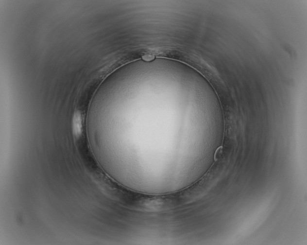 X0000113130075200909181718