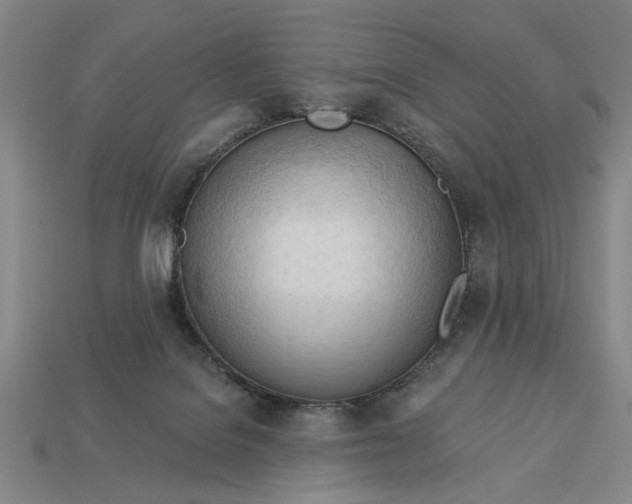 X0000113130076200909181718