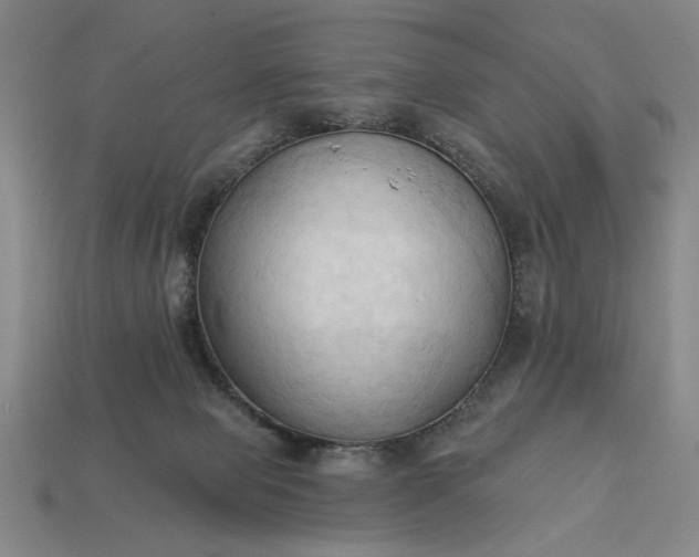 X0000113130077200909181718