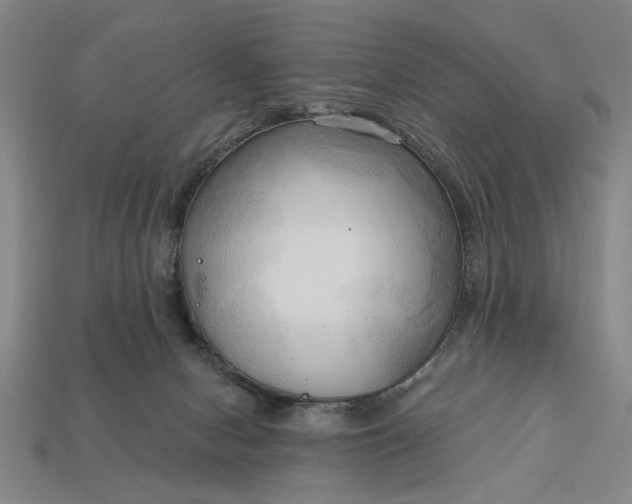 X0000113130078200909181718