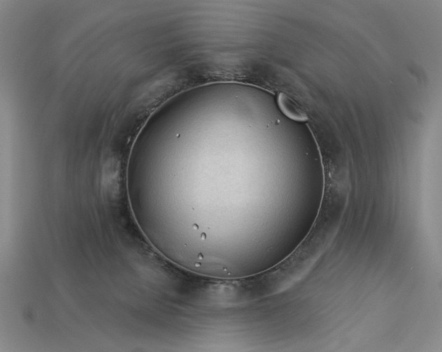 X0000113130080200909181718