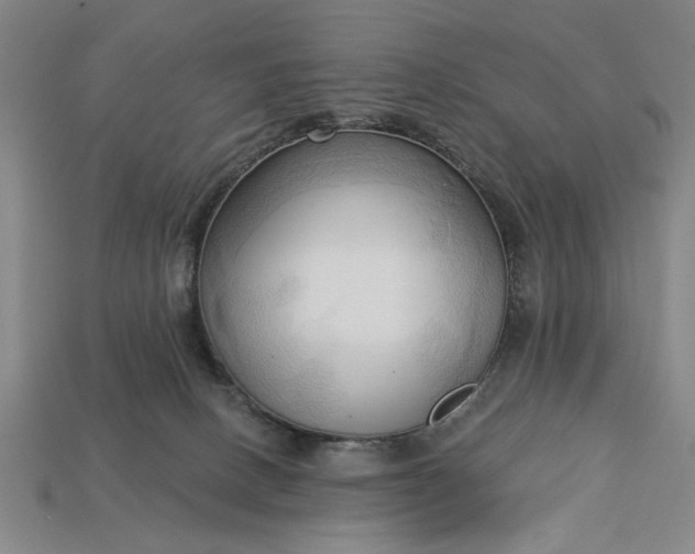 X0000113130082200909181718