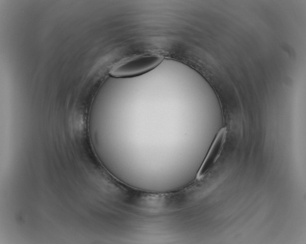 X0000113130084200909181718