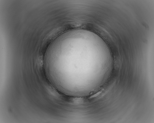 X0000113130085200909181718