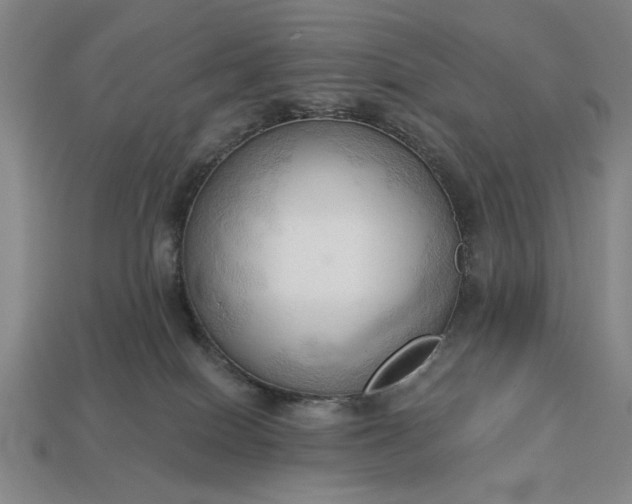 X0000113130086200909181718