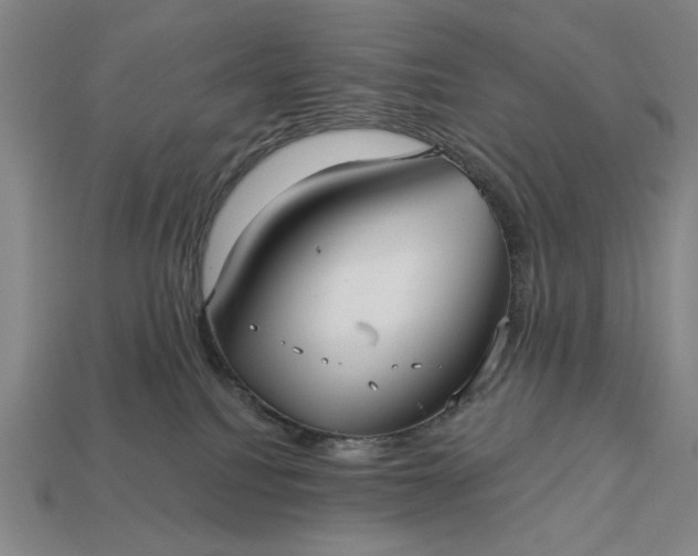 X0000113130088200909181718