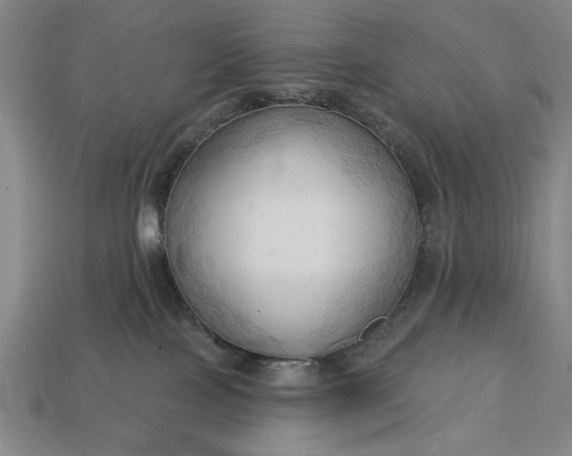 X0000113130089200909181718