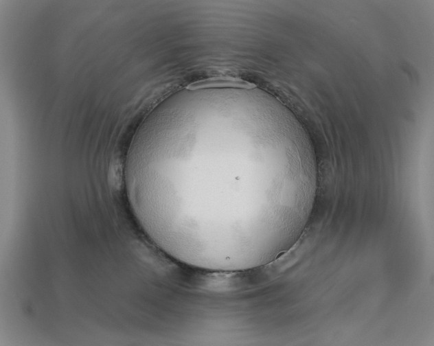 X0000113130090200909181718