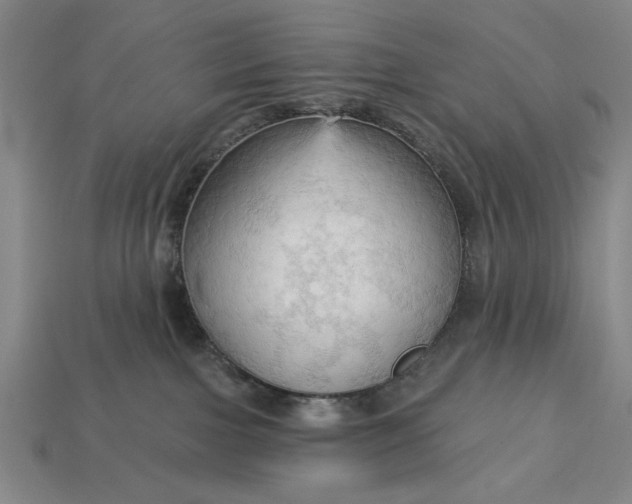 X0000113130091200909181718