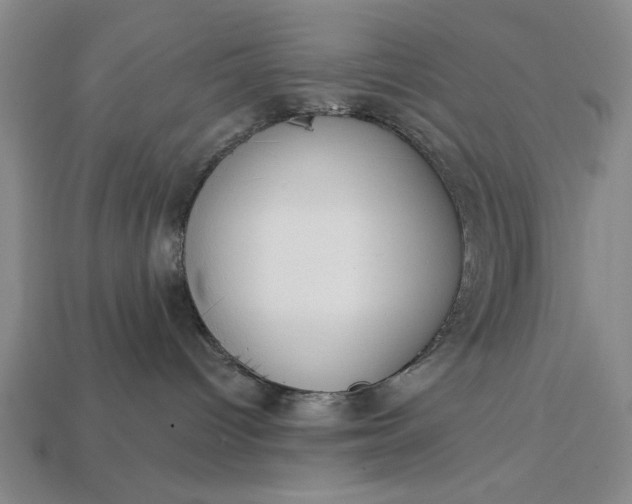 X0000113130096200909181718