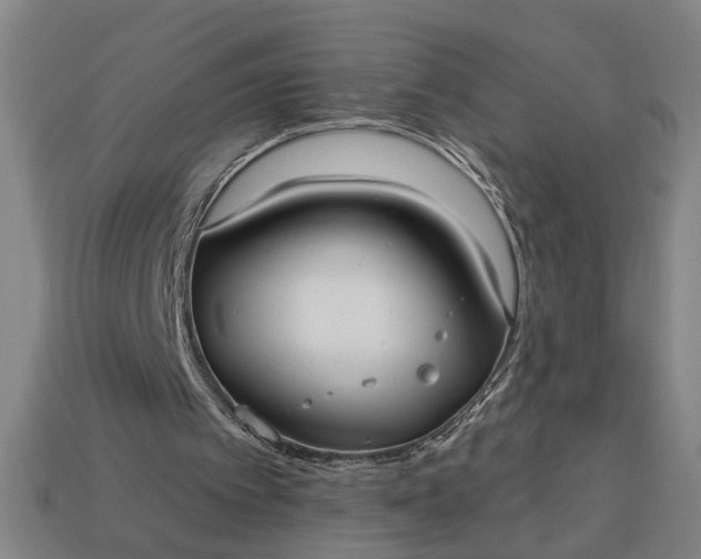 X0000113130097200909181717