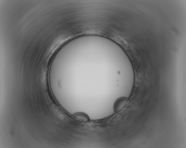 X0000113130098200909181717