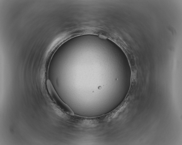 X0000113130101200909181717