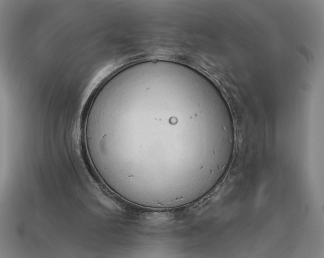 X0000113130102200909181717