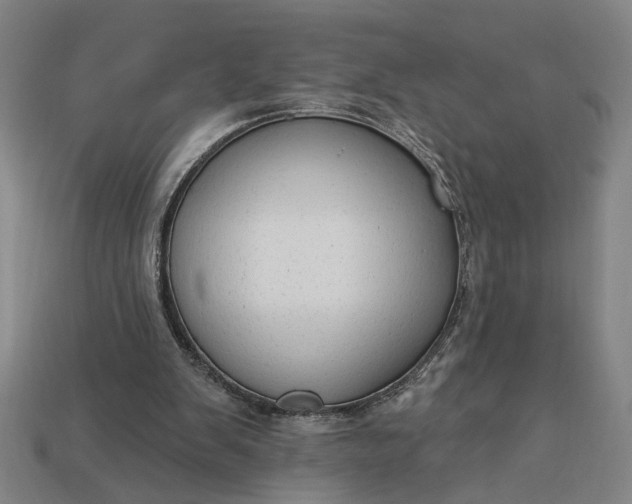 X0000113130103200909181717