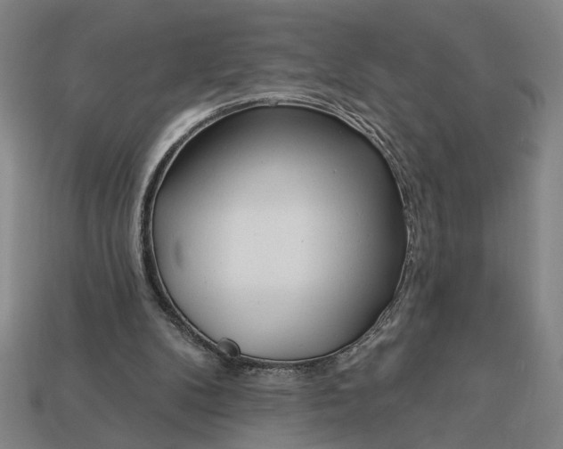 X0000113130104200909181717