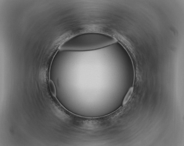 X0000113130105200909181717