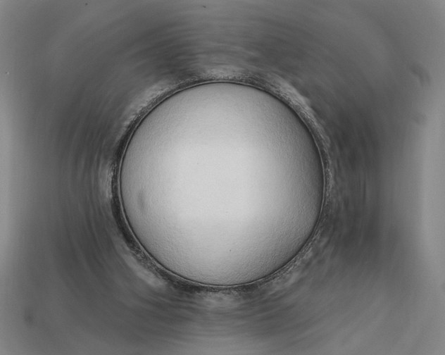 X0000113130106200909181717