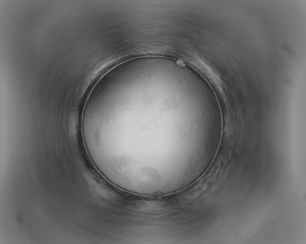 X0000113130107200909181717