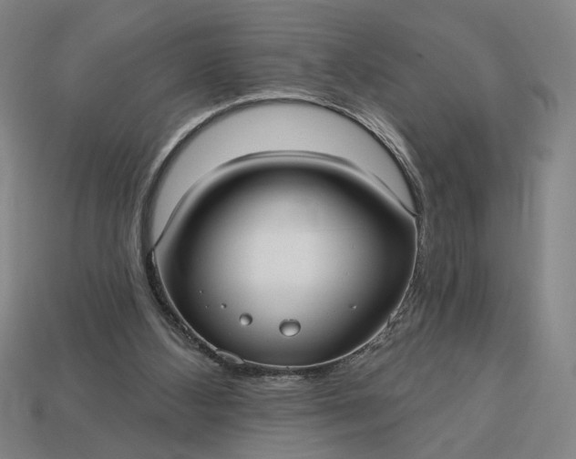 X0000113130108200909181717