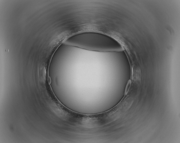 X0000113130109200909181717