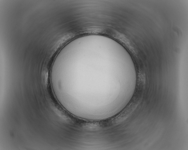 X0000113130110200909181717