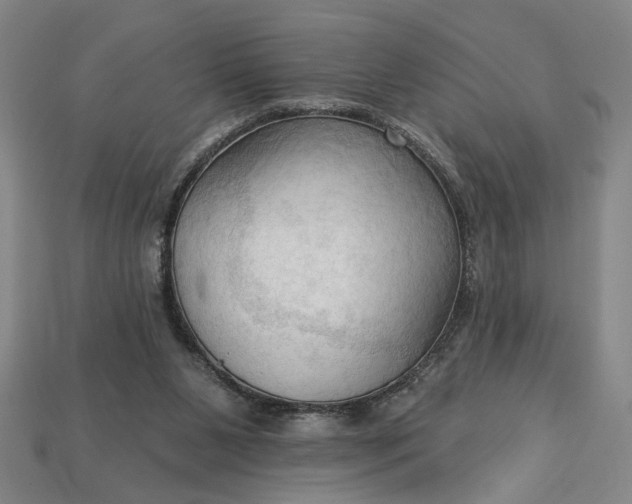 X0000113130111200909181717