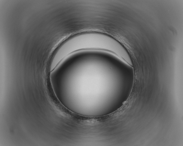 X0000113130112200909181717