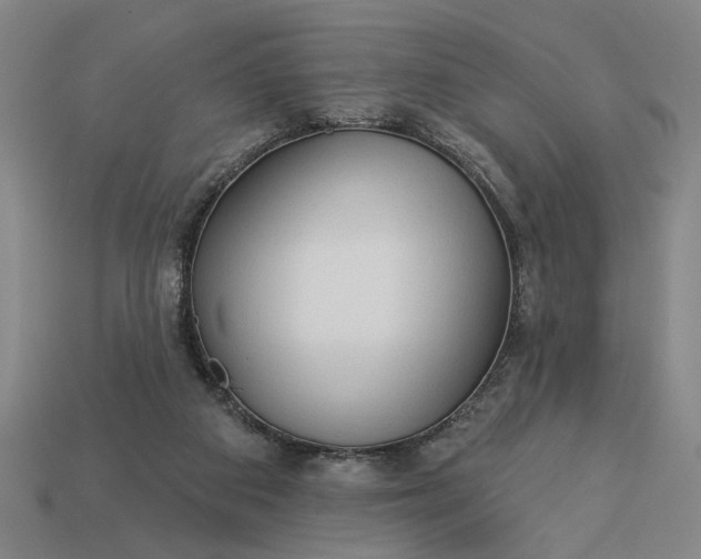 X0000113130113200909181717