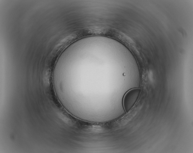 X0000113130114200909181717