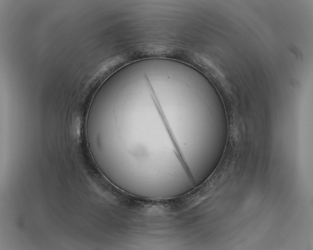 X0000113130115200909181717