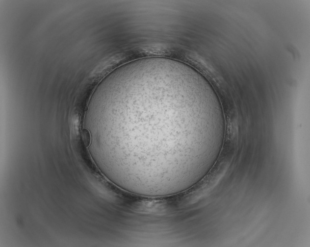 X0000113130117200909181717