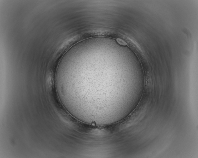 X0000113130119200909181717