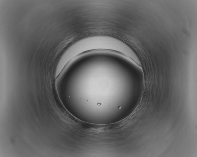 X0000113130120200909181717