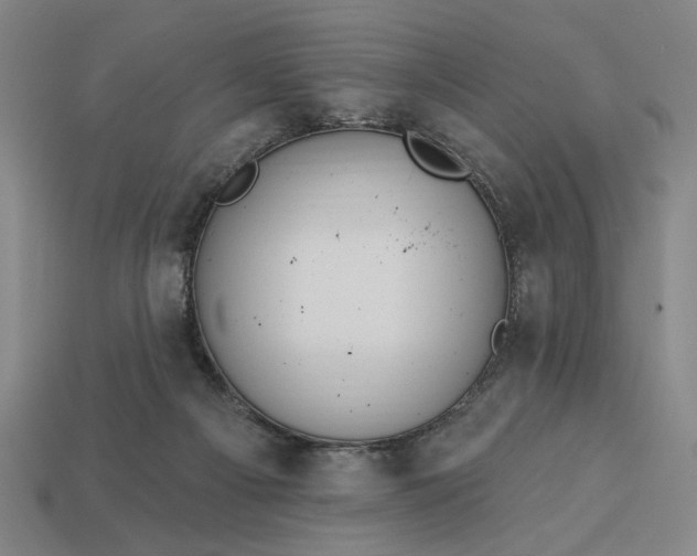 X0000113130121200909181717