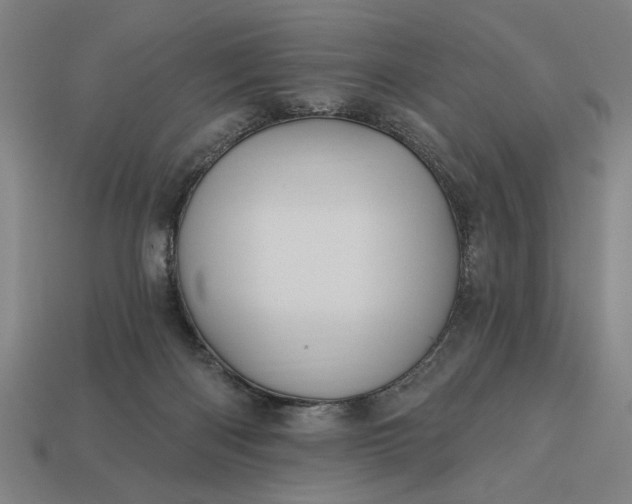 X0000113130122200909181717