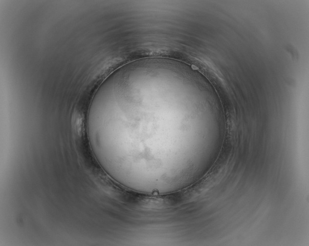 X0000113130123200909181717