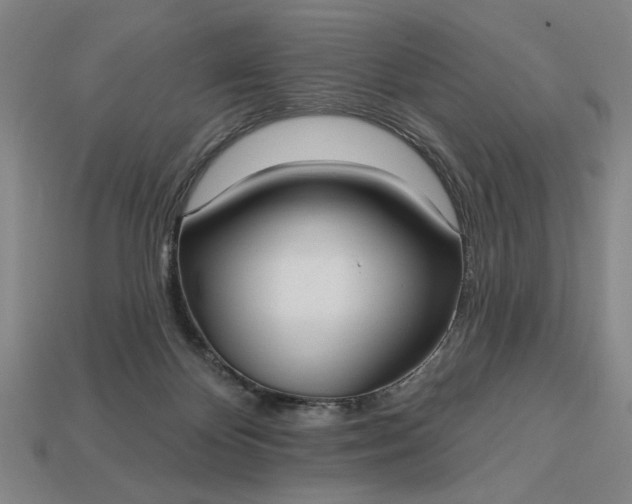 X0000113130124200909181717