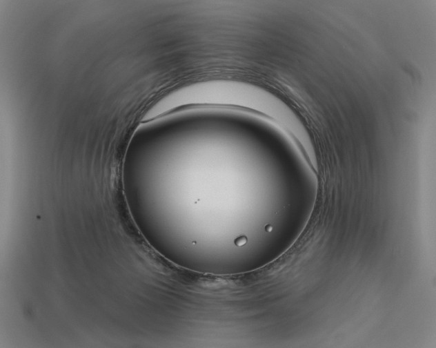 X0000113130125200909181717