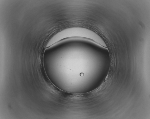 X0000113130128200909181717