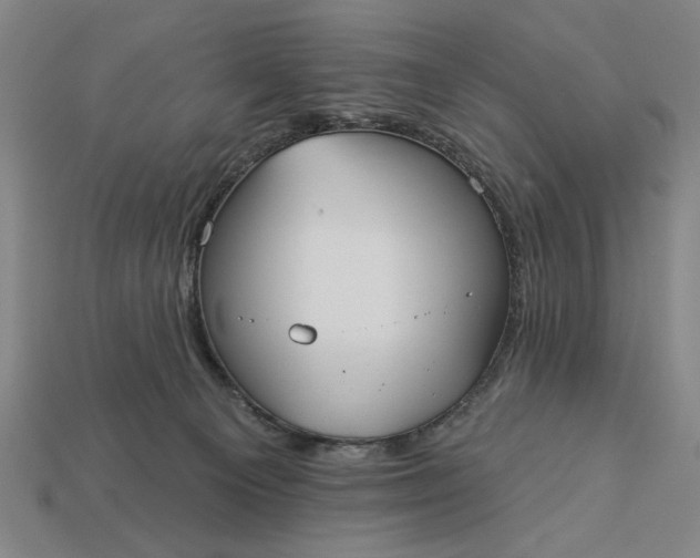 X0000113130129200909181717