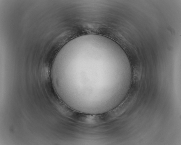 X0000113130130200909181717