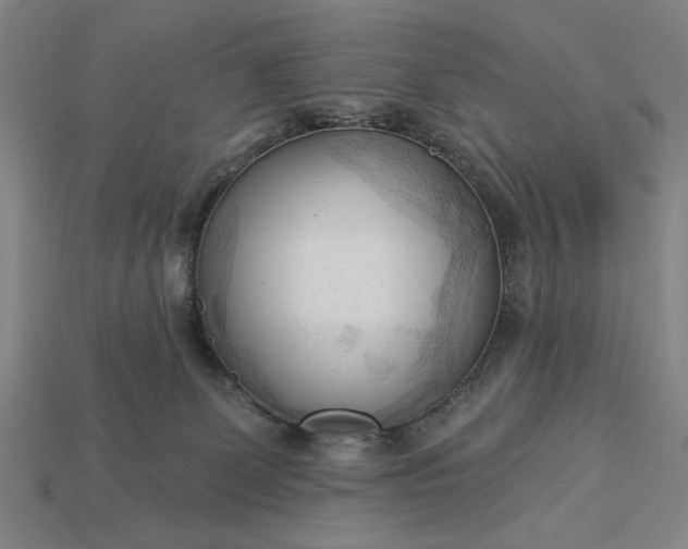 X0000113130131200909181717