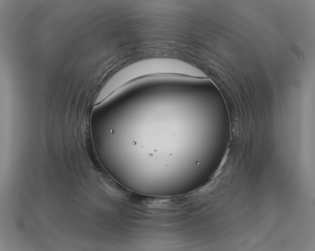 X0000113130132200909181717