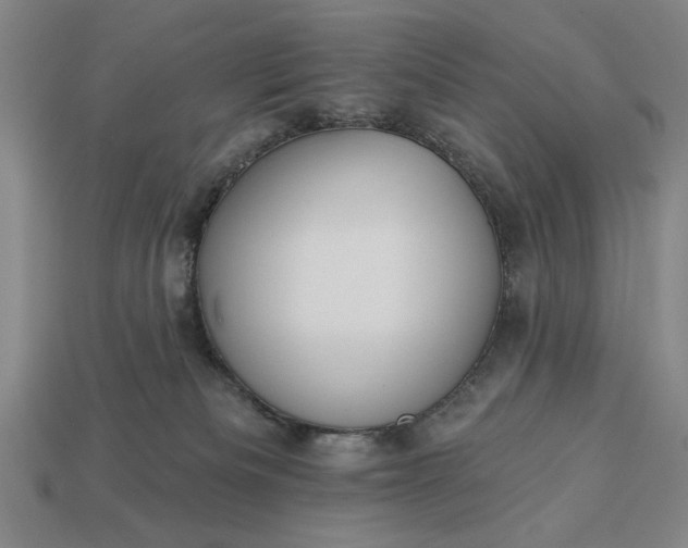 X0000113130133200909181717