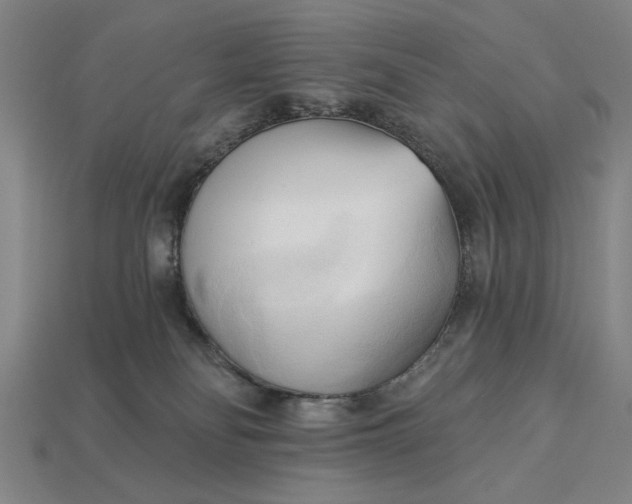 X0000113130134200909181717